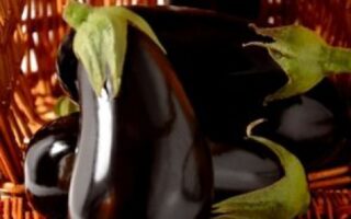 Aubergine 500 gr