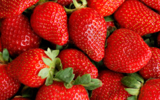 fraise 400 gr