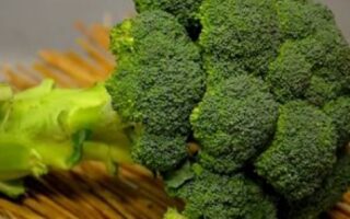 brocoli