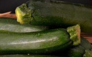 courgette 500 gr