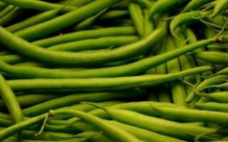 haricot 300 gr