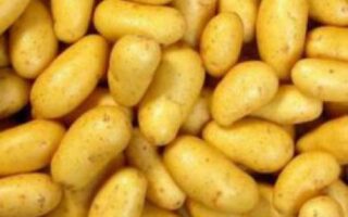 pomme de terre nouvelle 500 gr