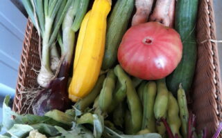 panier de légumes 11 €