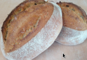pain 1/2 complet 500 gr