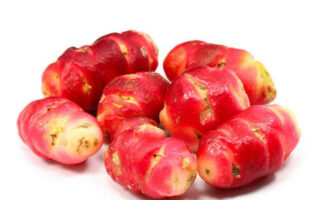 oca du pérou 400 gr