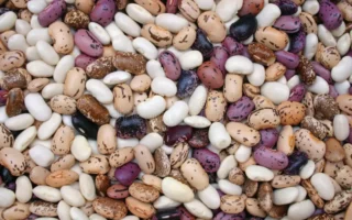 haricots secs 300 gr