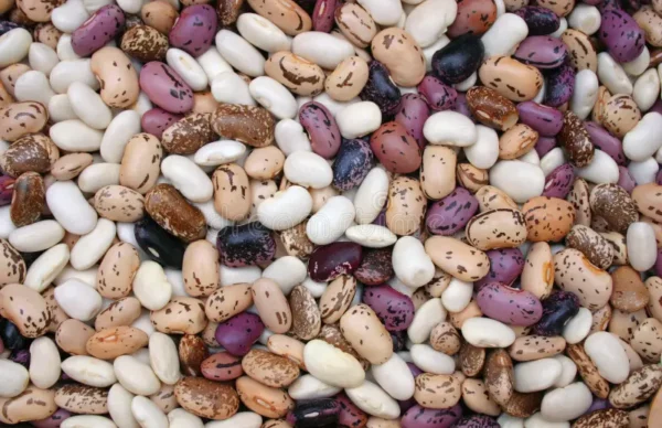 haricots secs 300 gr