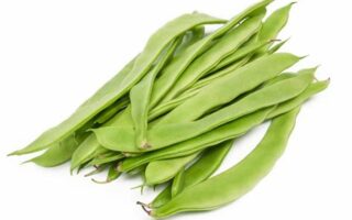 haricot plat 350 gr