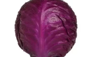 chou rouge 1 kilo
