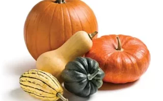 courge (potimaron,buternut, spagueti) kilo