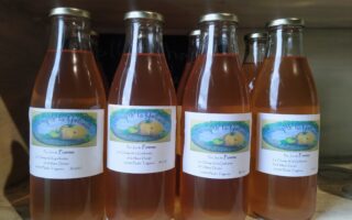 pur jus de pomme 1 litre