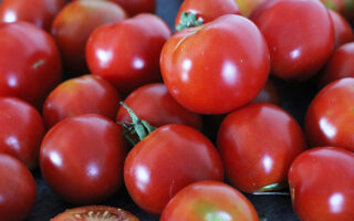 tomate ancienne 500 gr